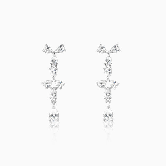 Silver Sparkling Beauty Earrings