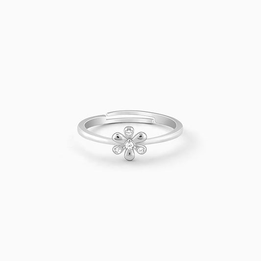 Silver Spring Garden Ring