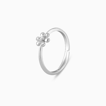 Silver Spring Garden Ring